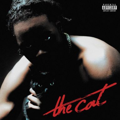 «The Cat»